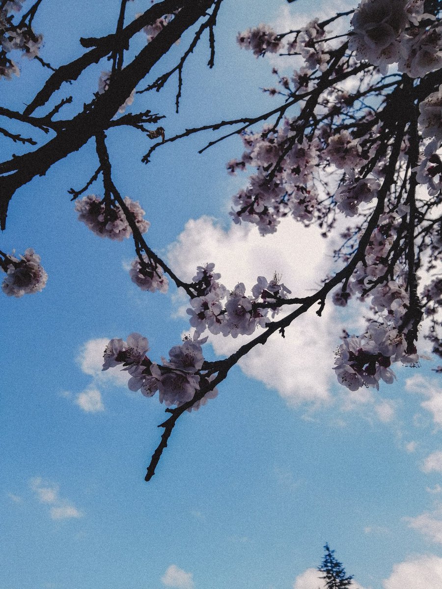 Tuğçe the amansız bacı 🎐 tweet media