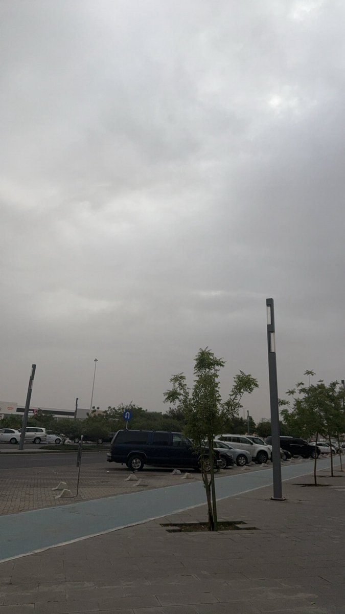 Eman🕊️ tweet media