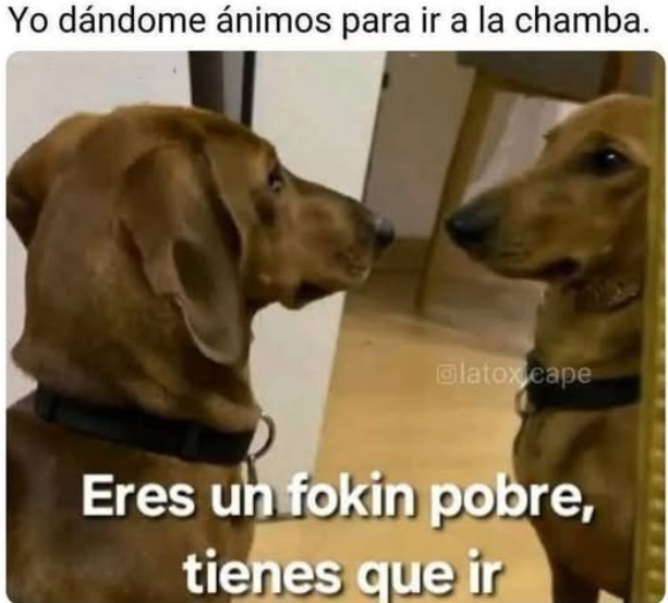 Andele x Pndejo tweet media