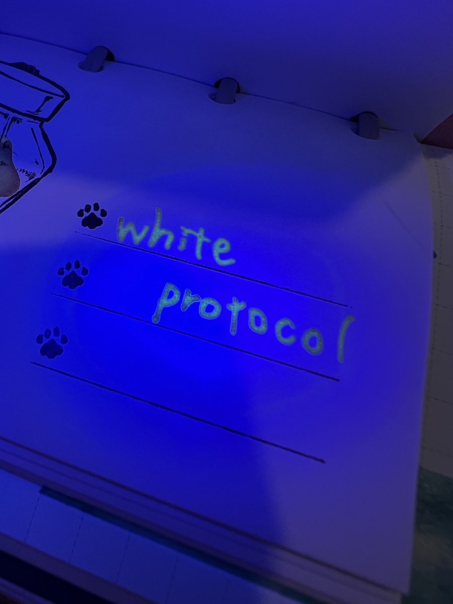 「WAVE4Yamagata EXCEED」 (公式) tweet media