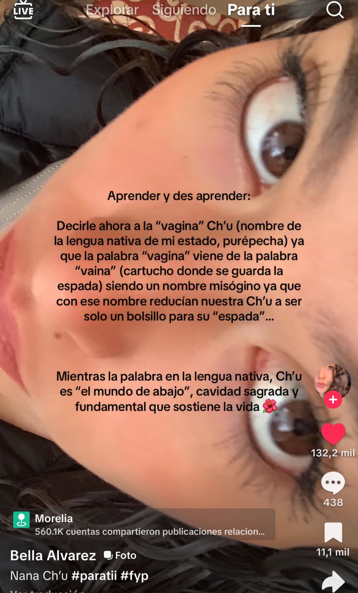 AvispaCulonaShin tweet media