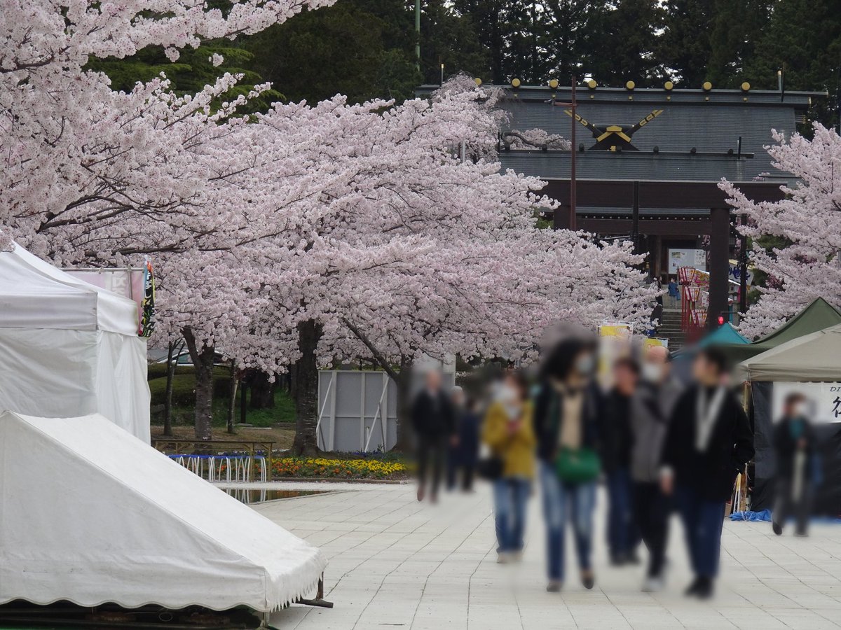 ｶﾋﾟﾊﾟﾁ tweet media