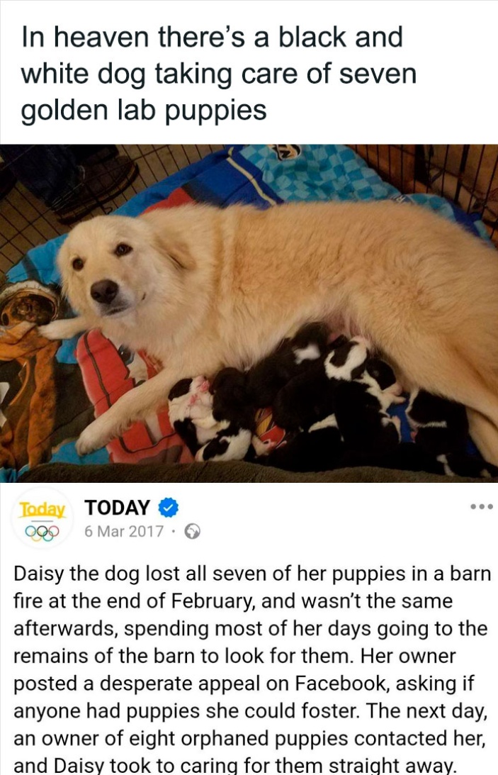 Eric Alper 🎧 tweet media