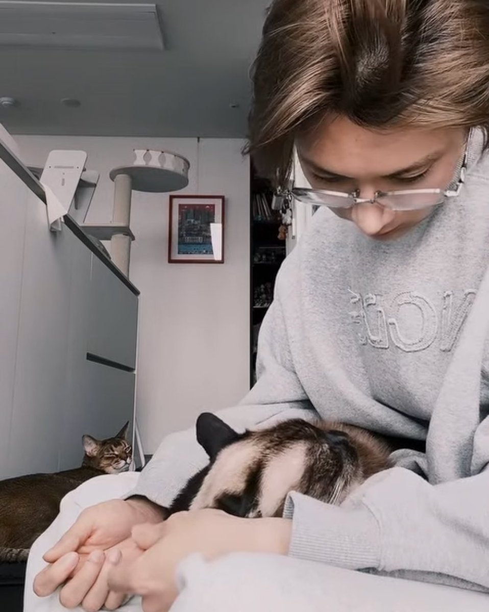 유즈코쇼 tweet media