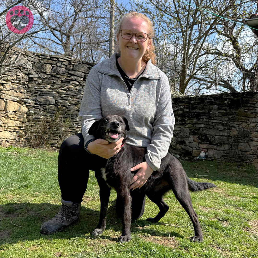 StreetHeartsBG's tweet image. We love seeing volunteers return. ❤️

Kim (who adopted Jack) just finished her fourth visit: "A magical place that gives real purpose. The dogs, and the team, make it unforgettable."

Want to experience it? Click here: bit.ly/VolunteerAtSHBG!

#Volunteering #DogRescue