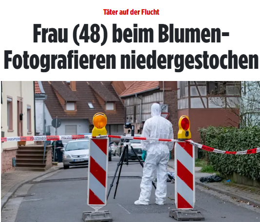 Bettina Punkt tweet media