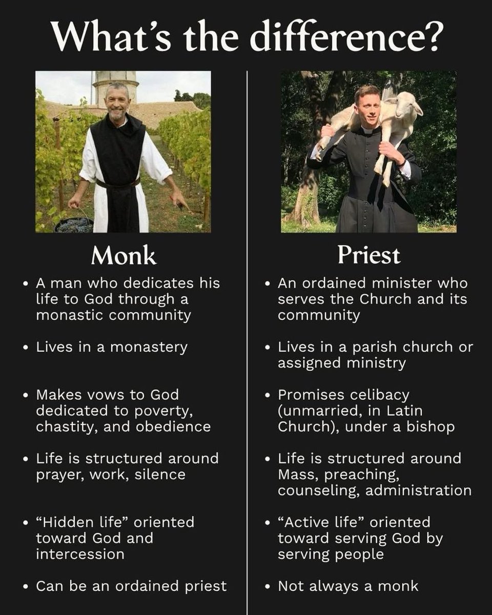 Monk Mindset tweet media