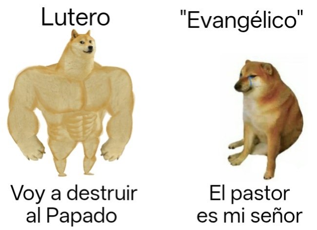 Premios Hispanidad Capitán Etayo tweet media