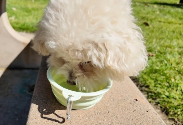 𝐂𝐡𝐞𝐑ྀི 🌅🍒 tweet media