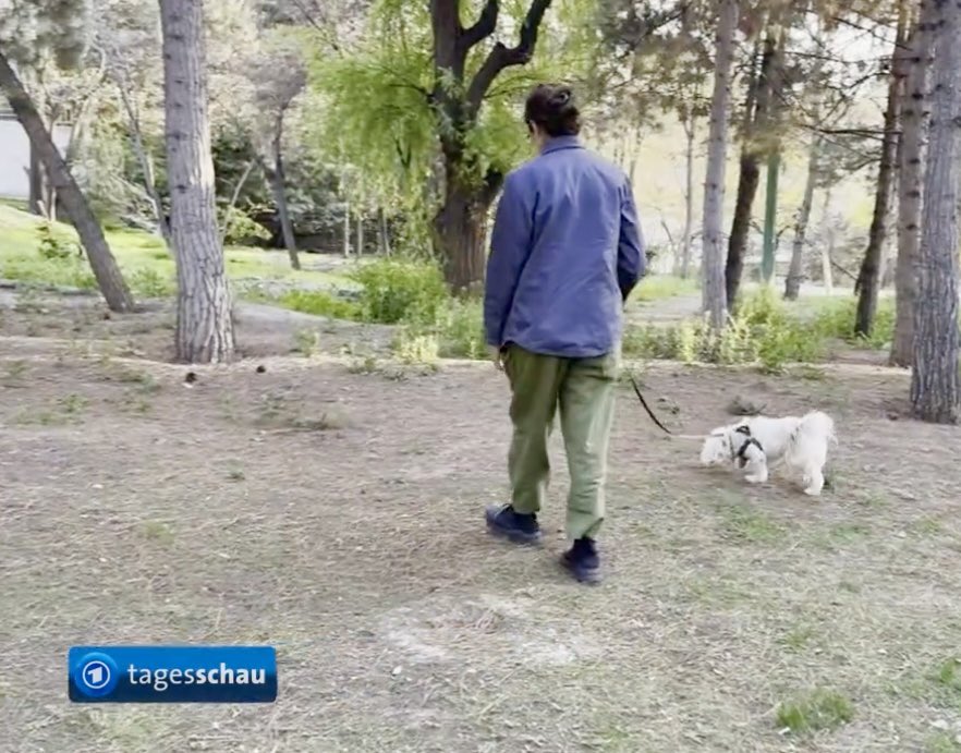 Jonas Schmidt-Chanasit tweet media