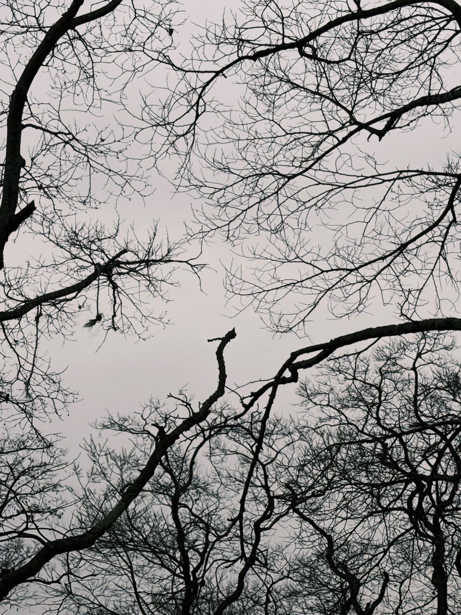 misskloss_ tweet media