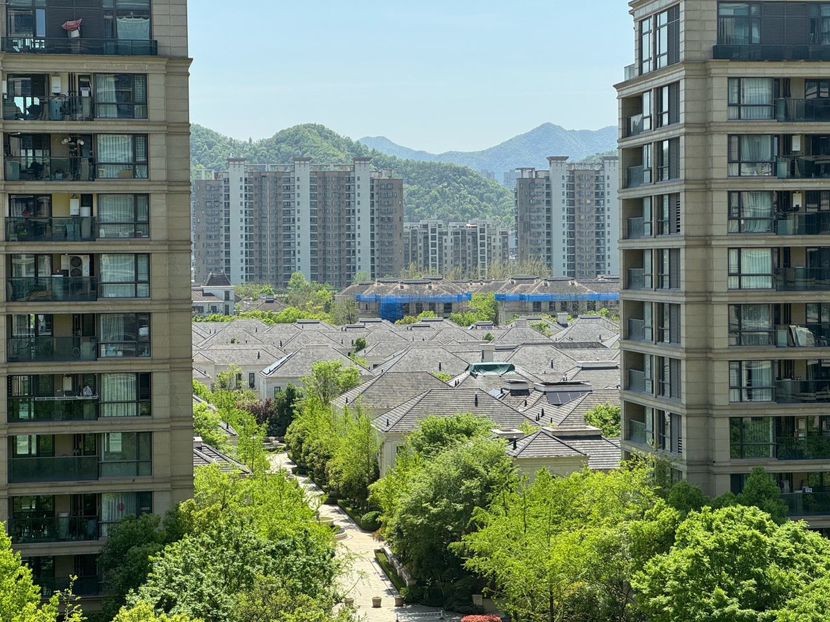 图拉鼎 tweet media