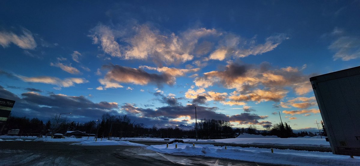 Alaskan Luck🍀🇺🇸 tweet media