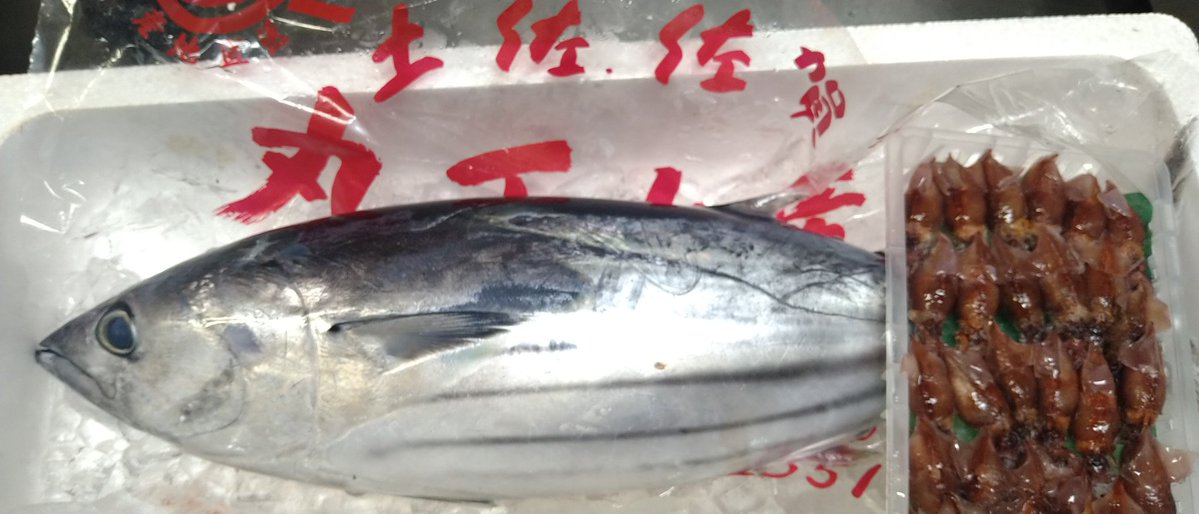 かっぱ tweet media