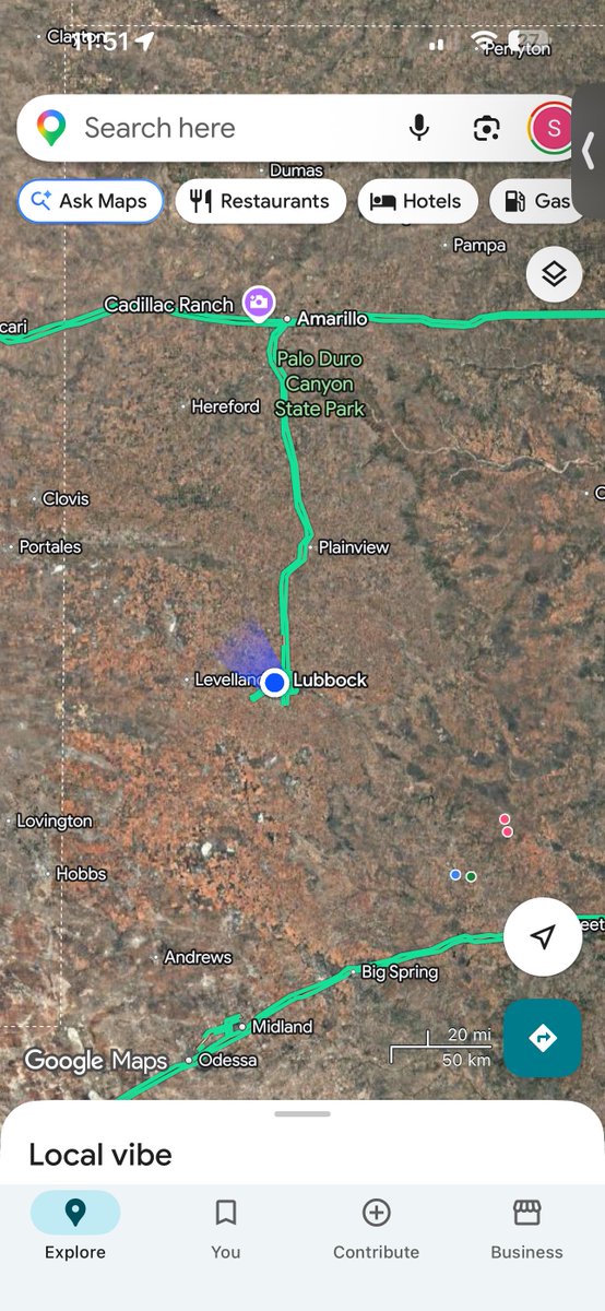 Sterling Lee tweet media