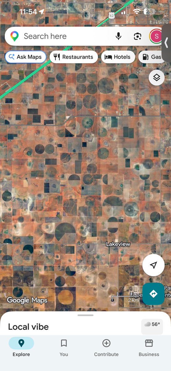 Sterling Lee tweet media