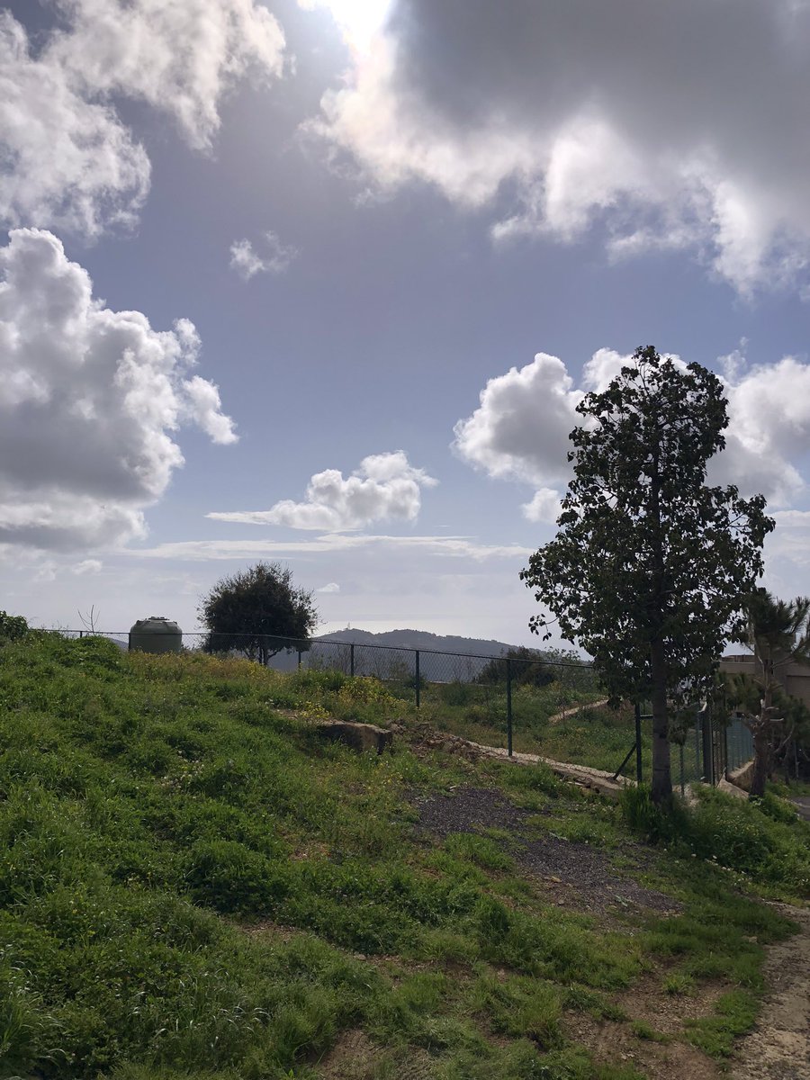 Marie Nassar tweet media