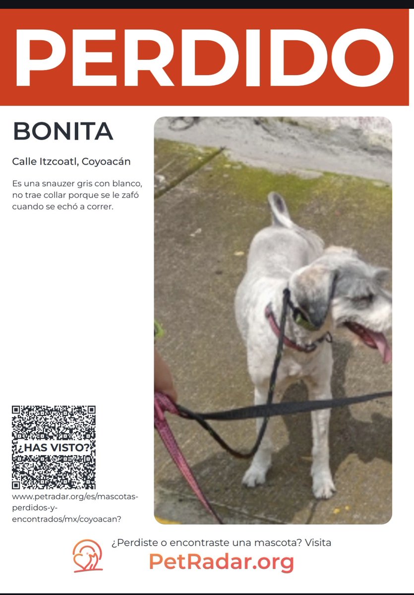 Alejandra Porras ⒶⓅⓂ tweet media