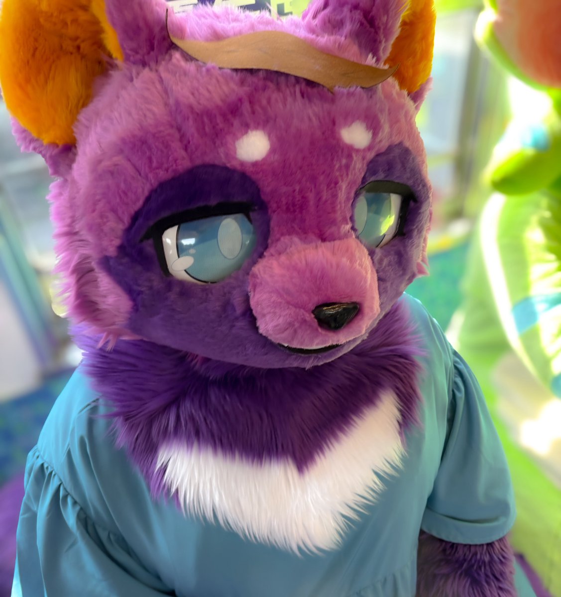 すみれ tweet media