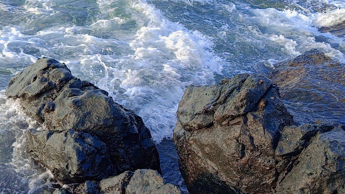 Mariela | Neurodocente 🧠 tweet media