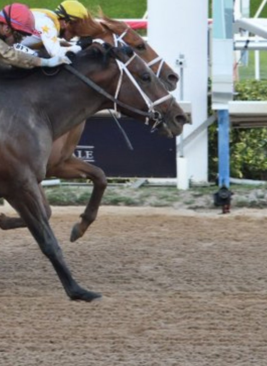 Jorge Pignoloni tweet media