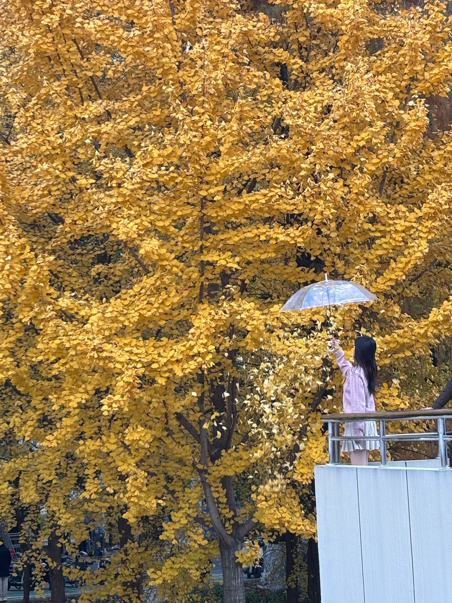 max riley weber tweet media