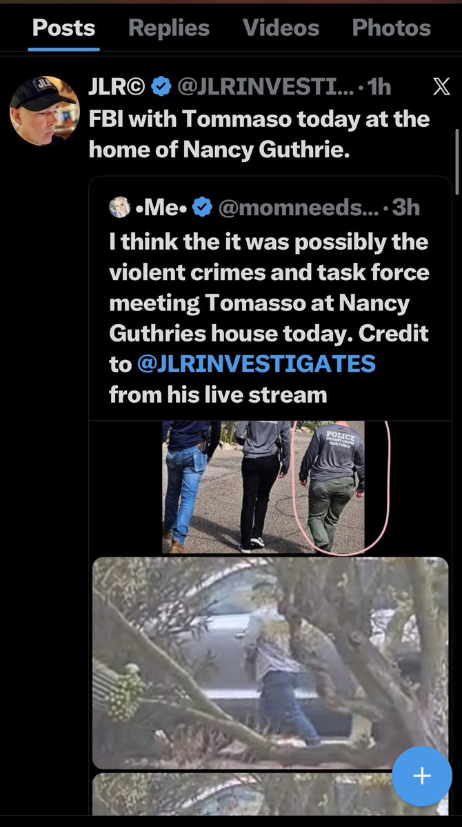 DIVA ADVENTURES tweet media