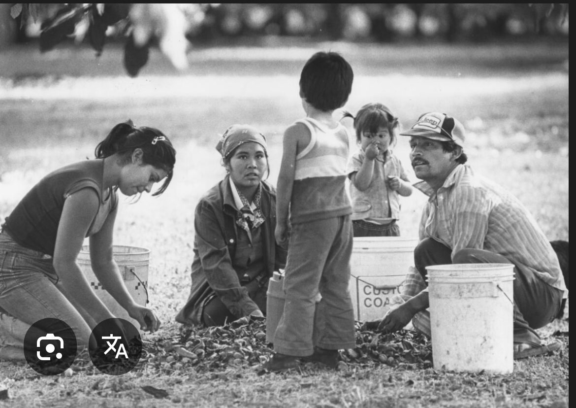 Biggdracz tweet media