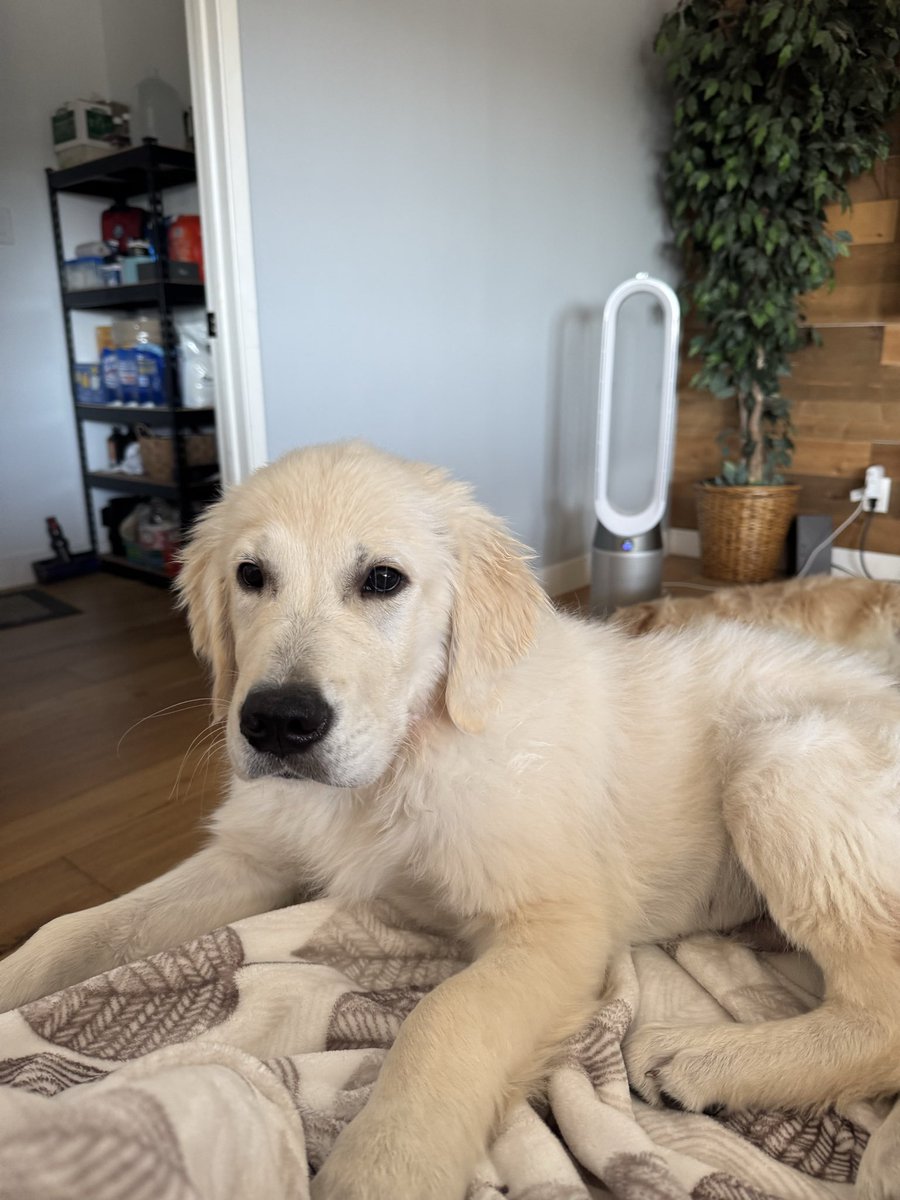 BryanManfull.eth tweet media