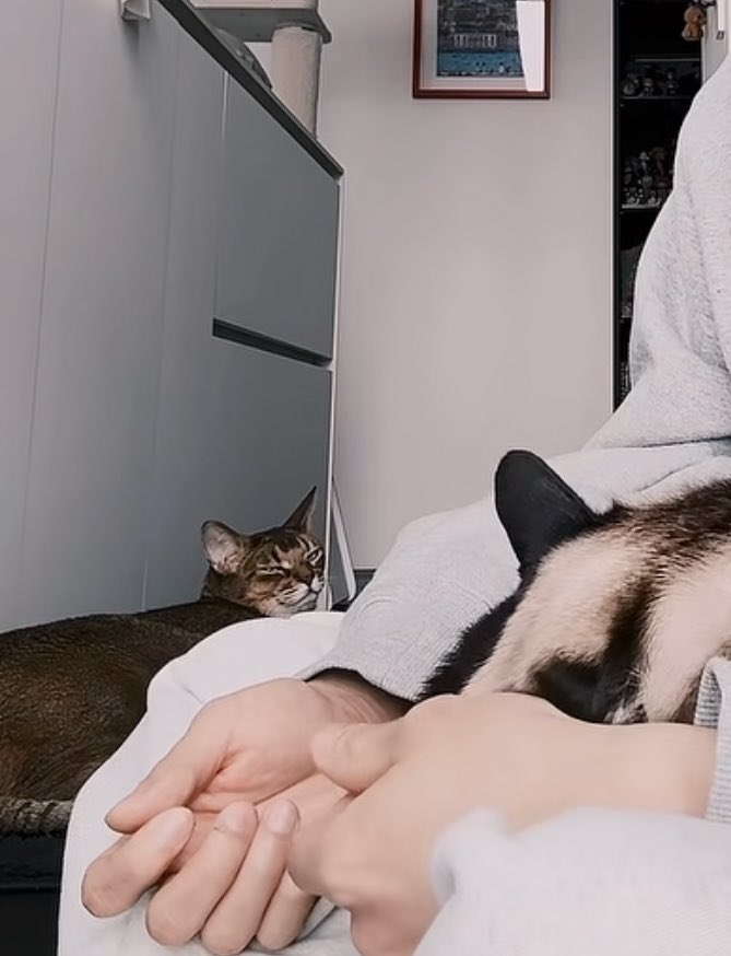 กาเบม tweet media