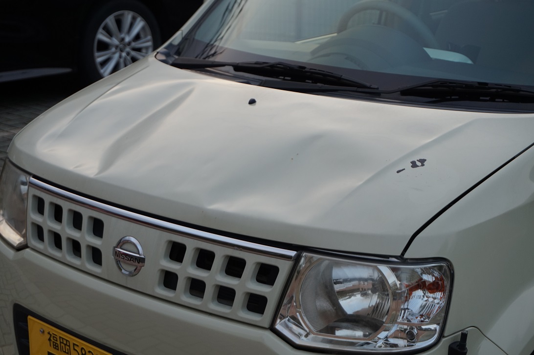 みちち tweet media