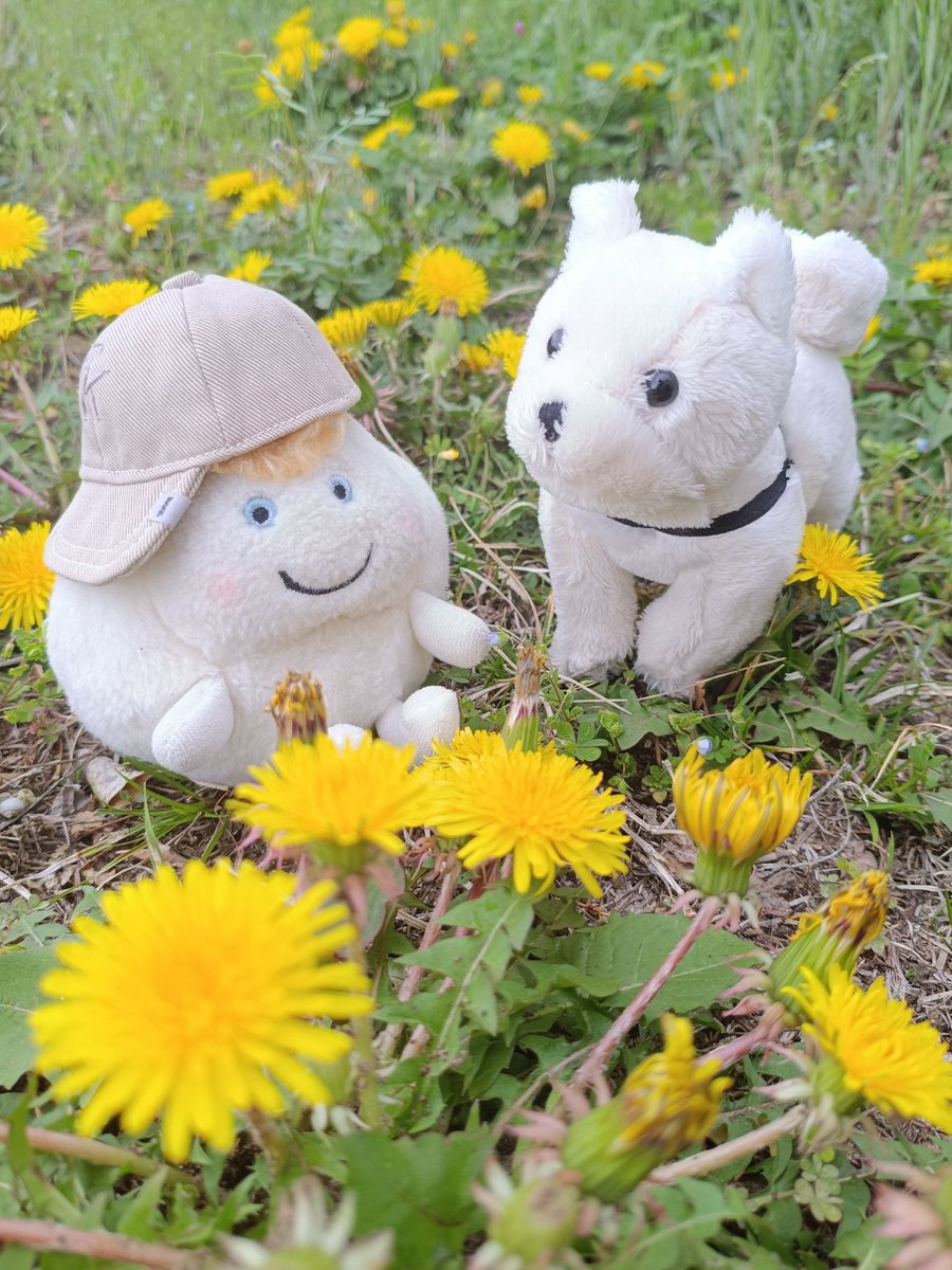 daihituji tweet media