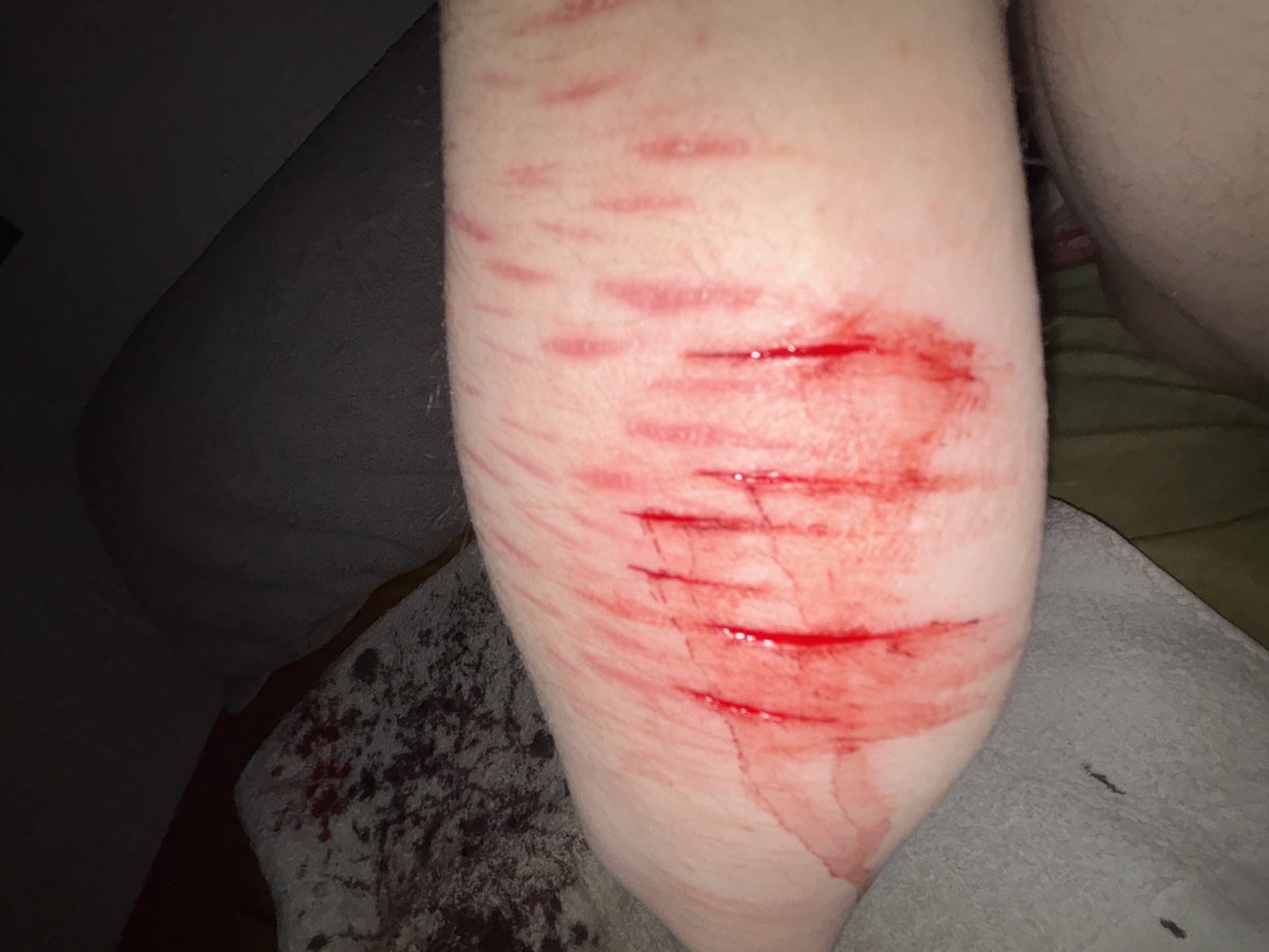 whatever tweet media