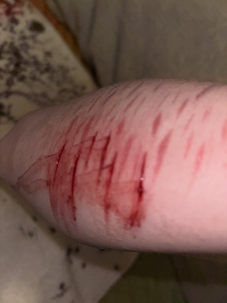 whatever tweet media