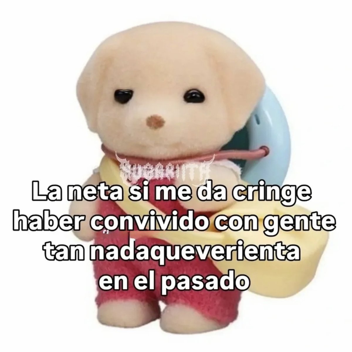 Mundo de Bigotes (@mundodebigotes) on Twitter photo 