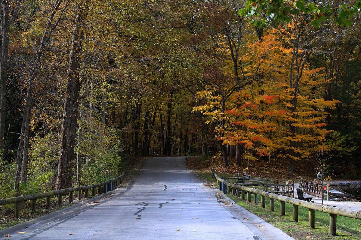 Klip-Pics tweet media