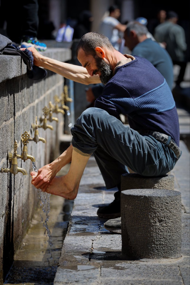 Linnea Hoover tweet media