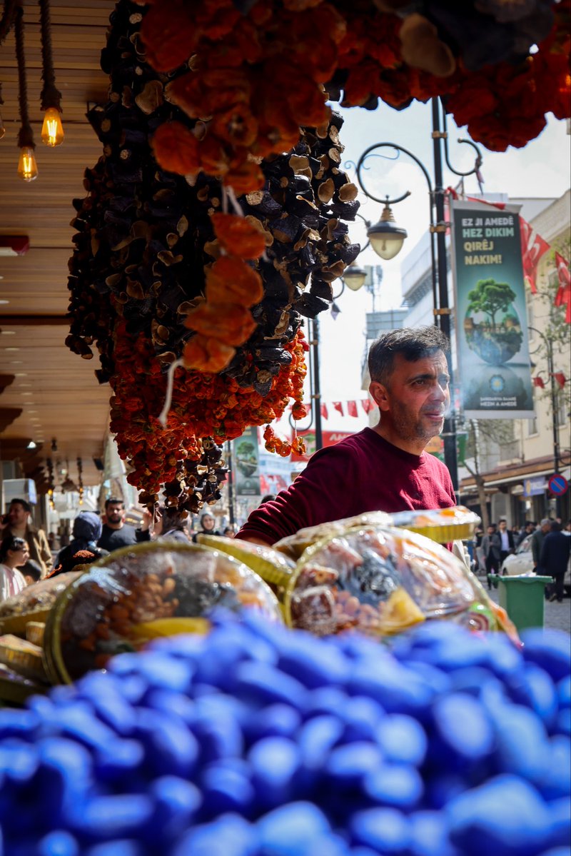 Linnea Hoover tweet media