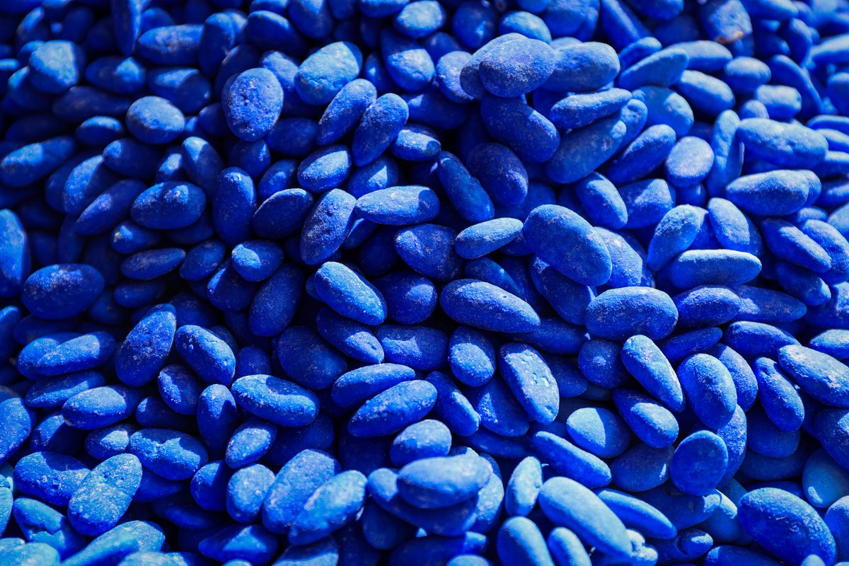 Linnea Hoover tweet media