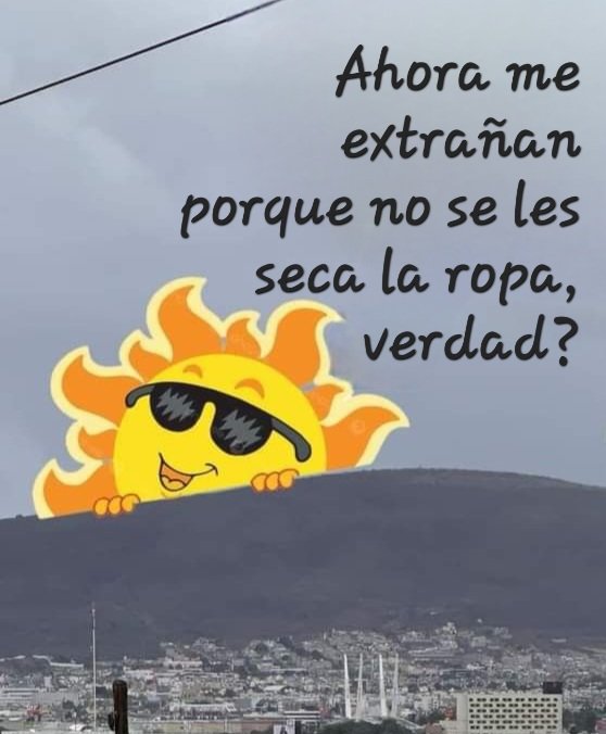 Miᄂi🧡 tweet media