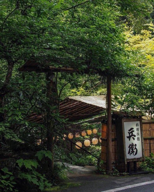 sorahikariii's tweet photo. Kyoto, Japan🇯🇵🍃 https://t.co/4PFFhN0gR2
