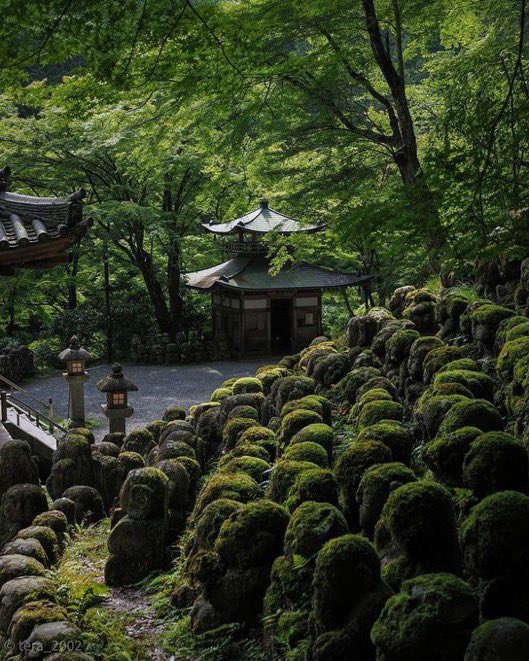 sorahikariii's tweet photo. Kyoto, Japan🇯🇵🍃 https://t.co/4PFFhN0gR2