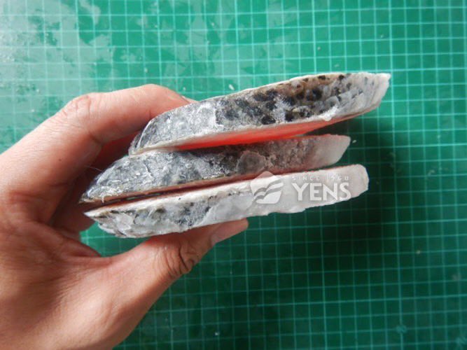 亞特蘭蒂濕❄️水產濕父🦞 tweet media