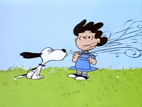 すぬちゃん tweet media