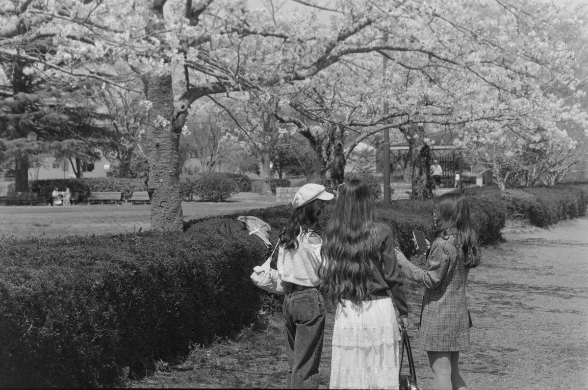 OLYMPUS OM-2N
TAMRON SP 90mm F2.5(52BB)
モノクロMARIX200
Rodinal 22℃ 1+100 
55min静止現像

#フィルムカメラ
#MARIXフィルム