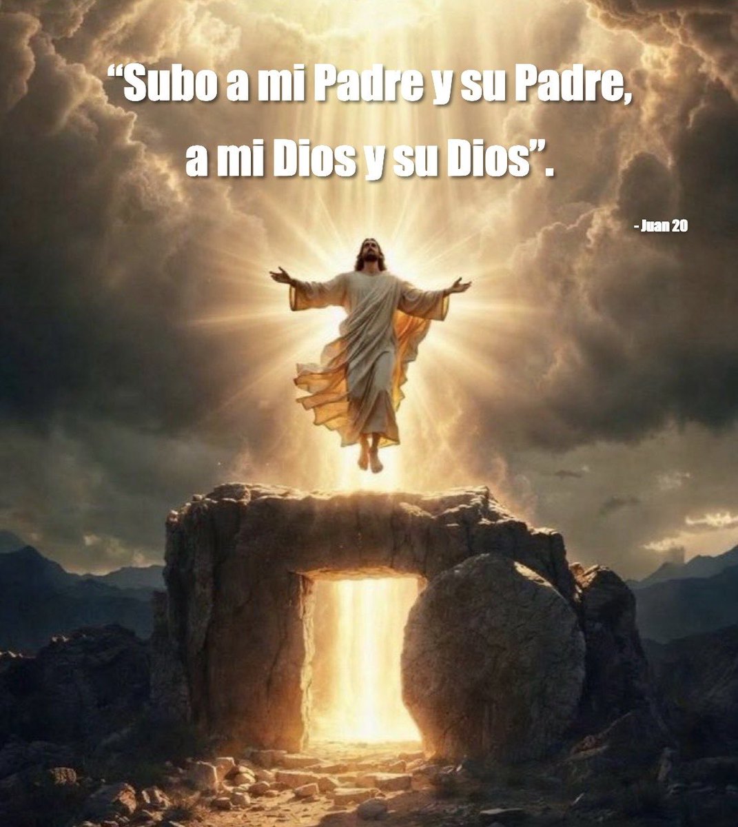 ¡Buenos días! Gracias por este nuevo día y un nuevo despertar con salud
#FelizMartes #7Abril