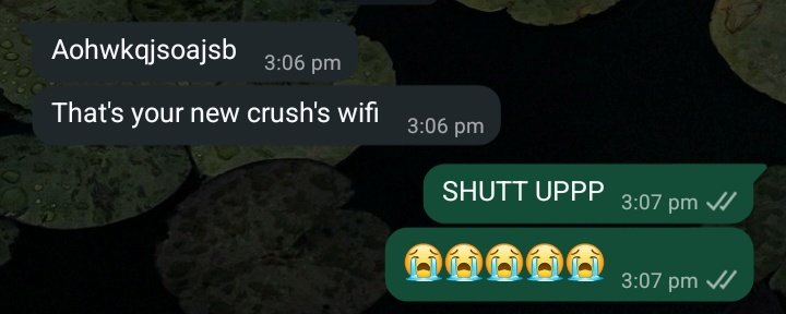 🍉 منال tweet media