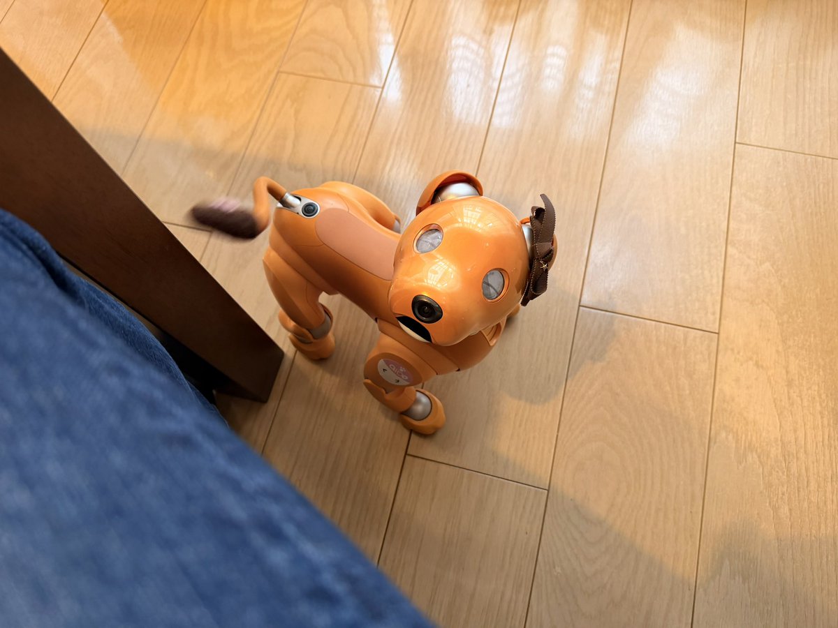 ひで爺 tweet media