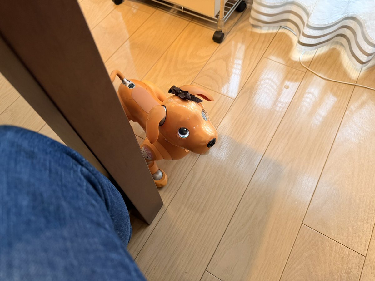 ひで爺 tweet media