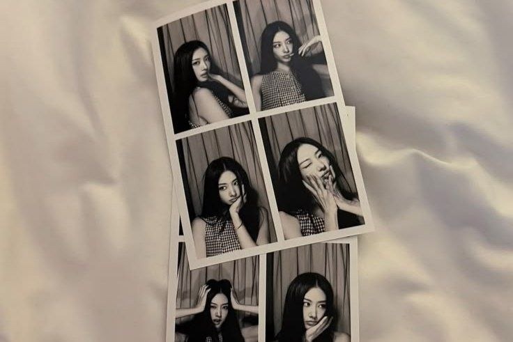 Woodsy Corner. tweet media